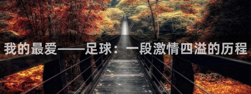 vsport体育官网下载:我的最爱——足球:一段激情四溢的历